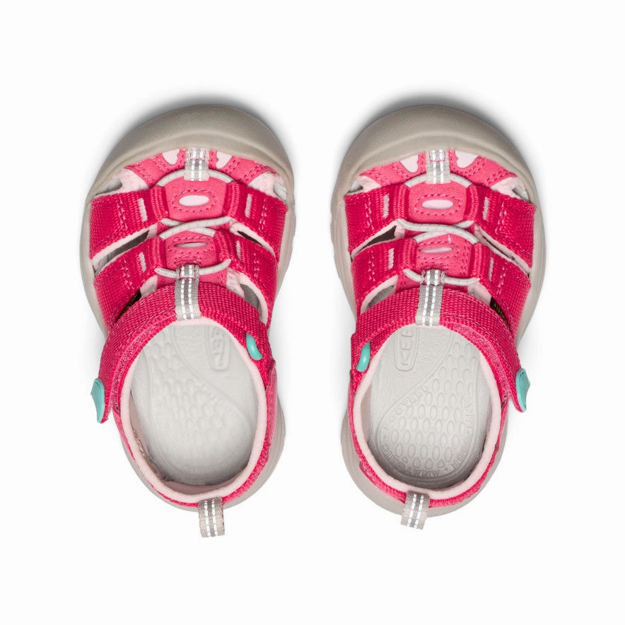 Toddlers' Newport H2  |  Raspberry/Giggle Pink